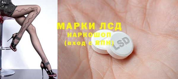 трава Аркадак